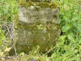 image of grave number 240920